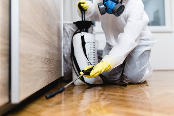 Best Termite Control Services  in Forreston, IL
