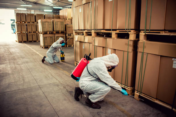 Best Ant Control Services  in Forreston, IL