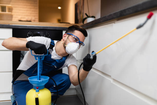 Best Emergency Pest Control  in Forreston, IL