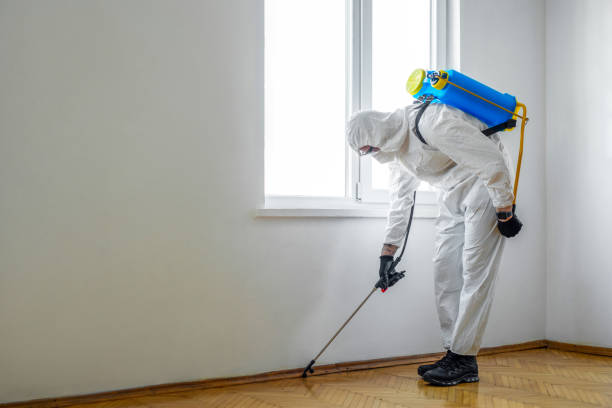 Best Cockroach Control Services  in Forreston, IL