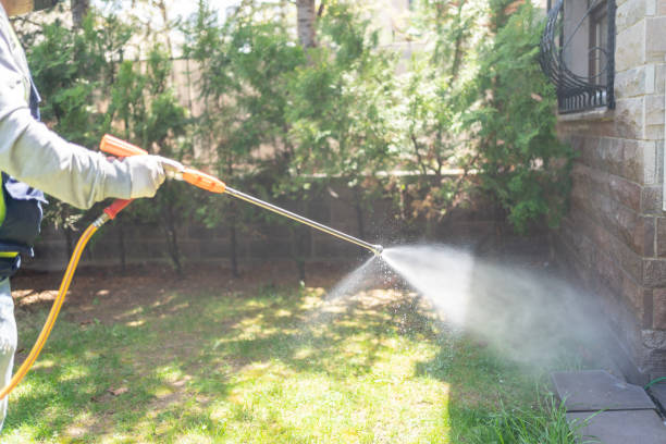 Best Ant Control Services  in Forreston, IL