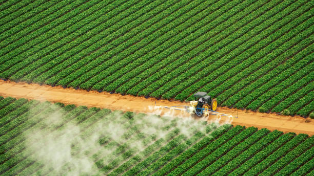 Best Cockroach Control Services  in Forreston, IL