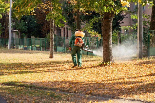 Best Best Pest Control Near Me  in Forreston, IL